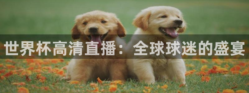 世界杯亚洲区预选赛赛程表：世界杯高清直播：全球球迷的盛宴