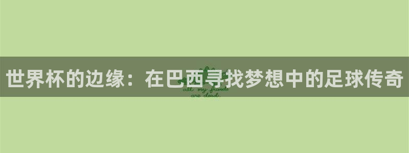 今年的世界杯：世界杯的边缘：在巴西寻找梦想中的足球传奇