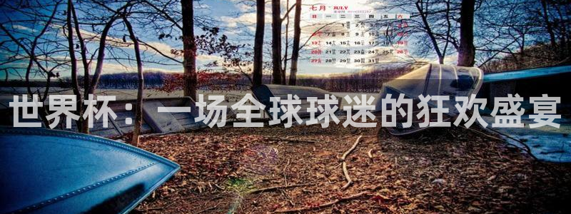 法国杯2026赛程表：世界杯：一场全球球迷的狂欢盛宴
