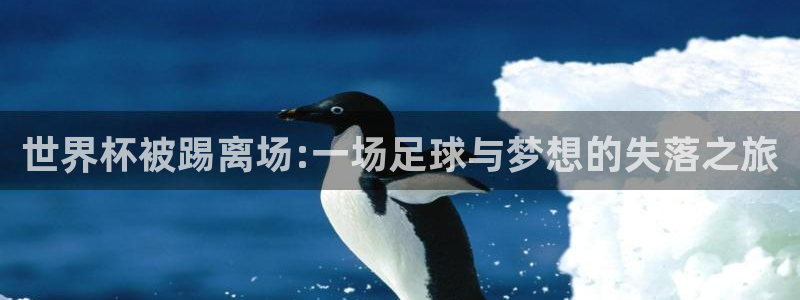 世界杯预选赛亚洲区积分榜：世界杯被踢离场:一场足球与梦想的失落之旅