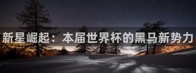 世界杯预选赛赛程时间表：新星崛起：本届世界杯的黑马新势力