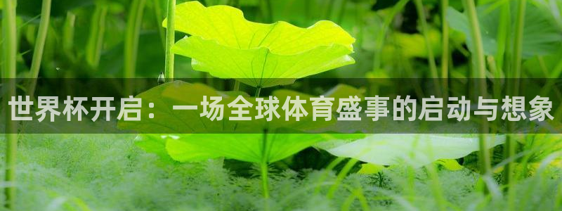 免费看足球直播比赛：世界杯开启：一场全球体育盛事的启动与想象