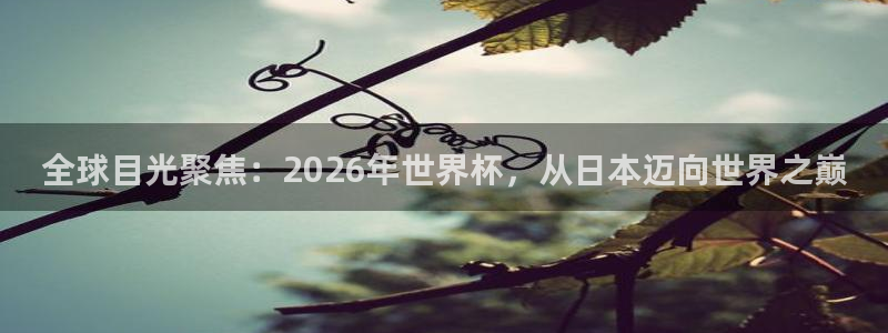 世界杯直播网站：全球目光聚焦：2026年世界杯，从日本迈向世界之巅