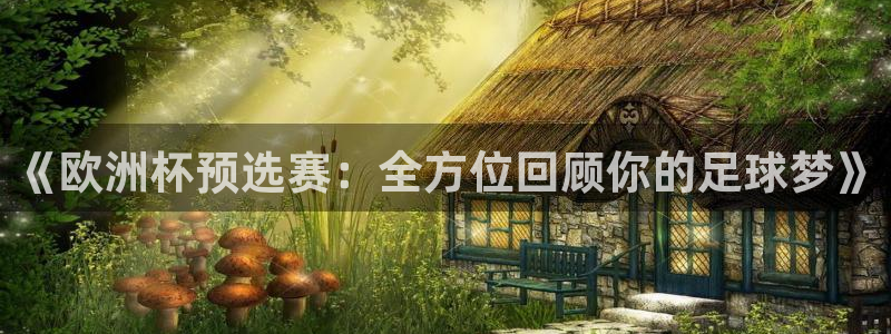 2026世界杯亚洲预选赛：《欧洲杯预选赛：全方位回顾你的足球梦》