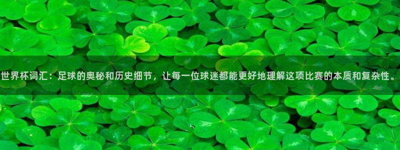 联赛杯直播：世界杯词汇：足球的奥秘和历史细节，让每一位球迷都能更好地理解这项比赛的本质和复杂性。