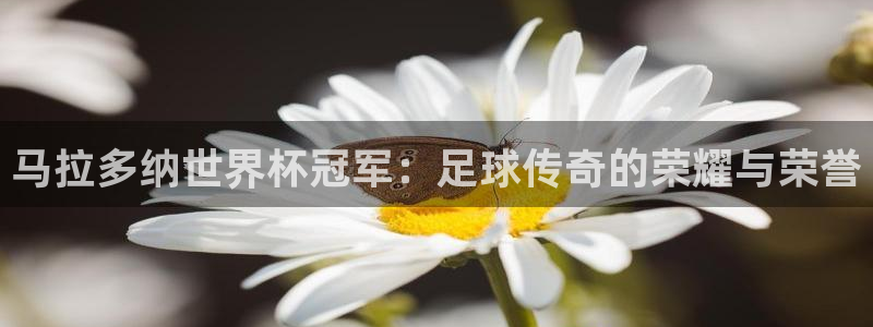 美国世界杯：马拉多纳世界杯冠军：足球传奇的荣耀与荣誉