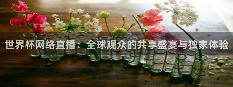世界杯欧洲预选赛赛程：世界杯网络直播：全球观众的共享盛宴与独家体验